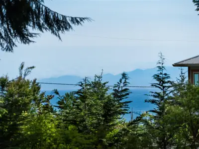View 79