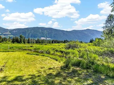 View 37