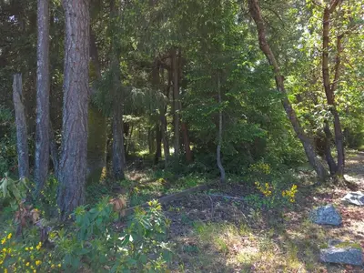 View 10