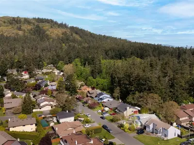 View 39