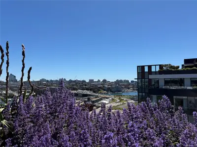 View 21