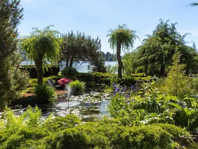 View 79