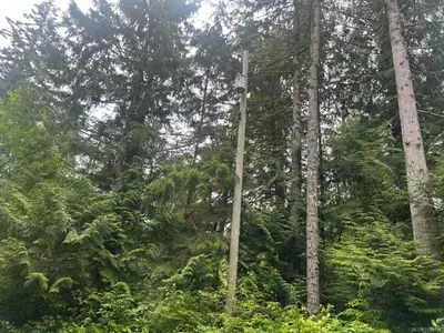 View 16