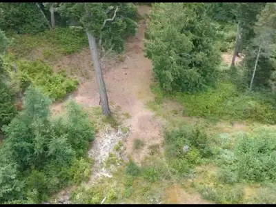 View 7