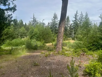 View 3
