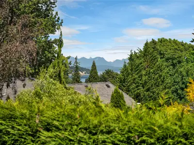 View 60
