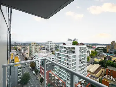 View 25