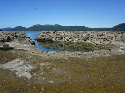 View 10