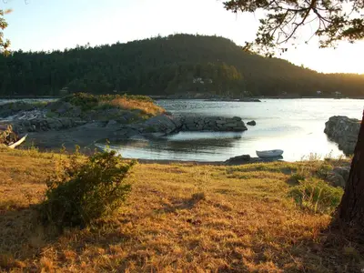View 11