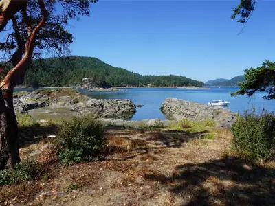 View 8