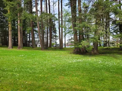 View 12