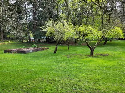 View 10