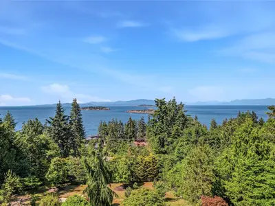 View 21