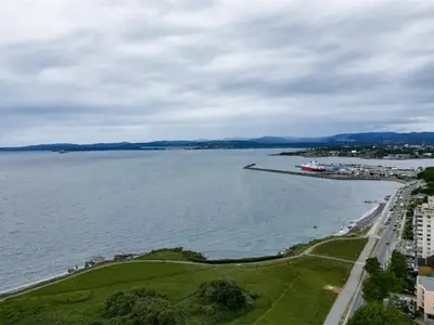 View 42