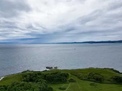 View 41