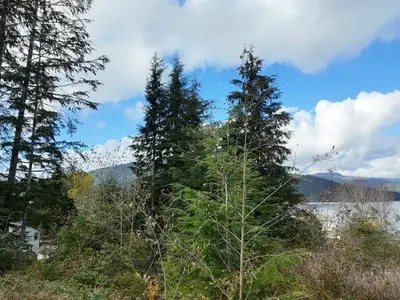 View 2