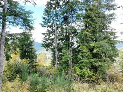 View 17