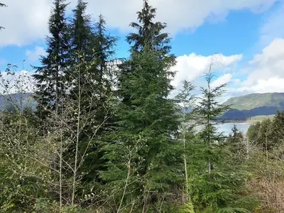 View 16