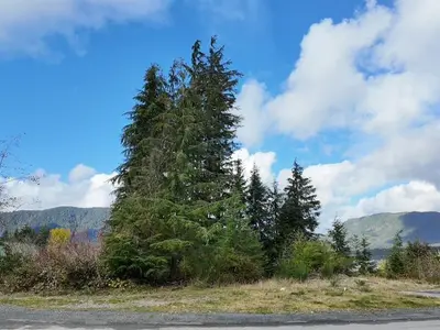 View 7
