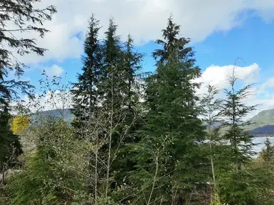 View 15