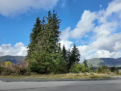View 8