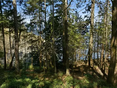 View 24