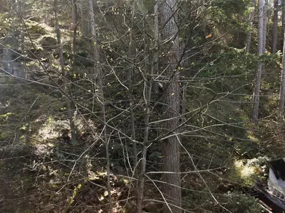 View 34