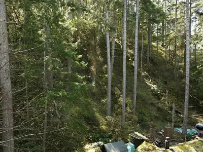 View 35