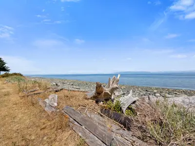 View 32