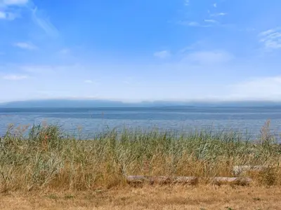 View 31