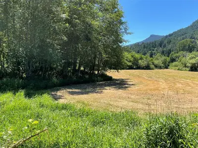View 52