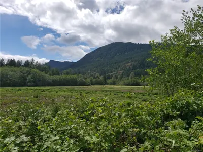 View 43