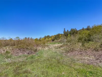 View 38