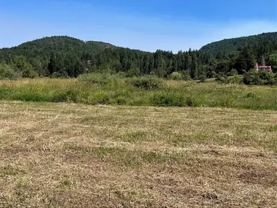 View 51