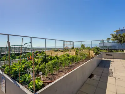 View 23