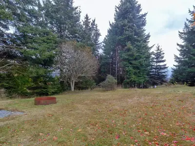View 41