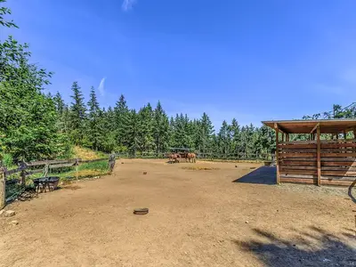 View 42