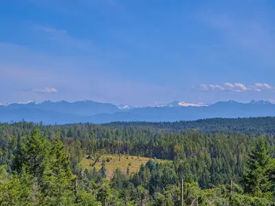 View 43