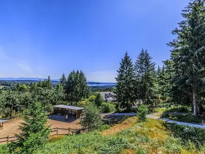 View 41