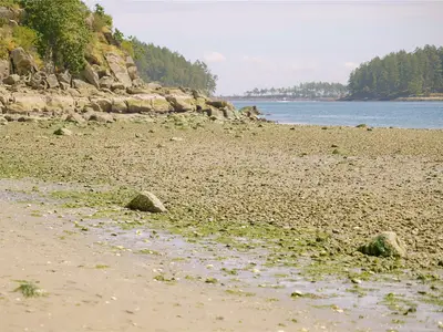 View 29