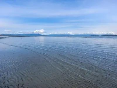View 40