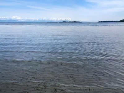 View 39