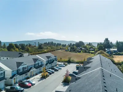 View 49