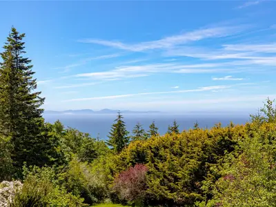 View 43