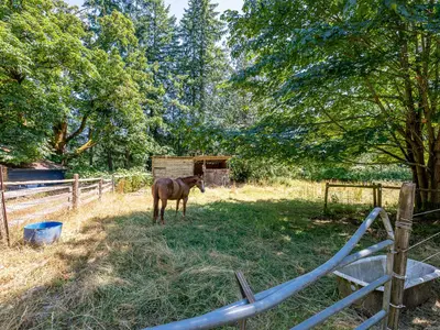 View 21