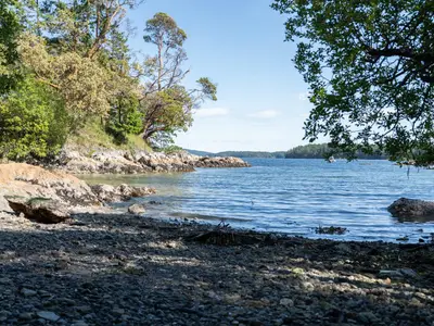 View 32