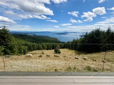 View 29