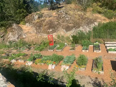 View 45