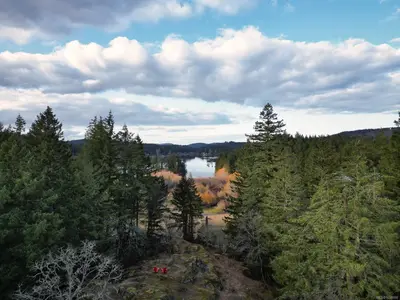 View 54