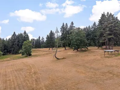 View 77